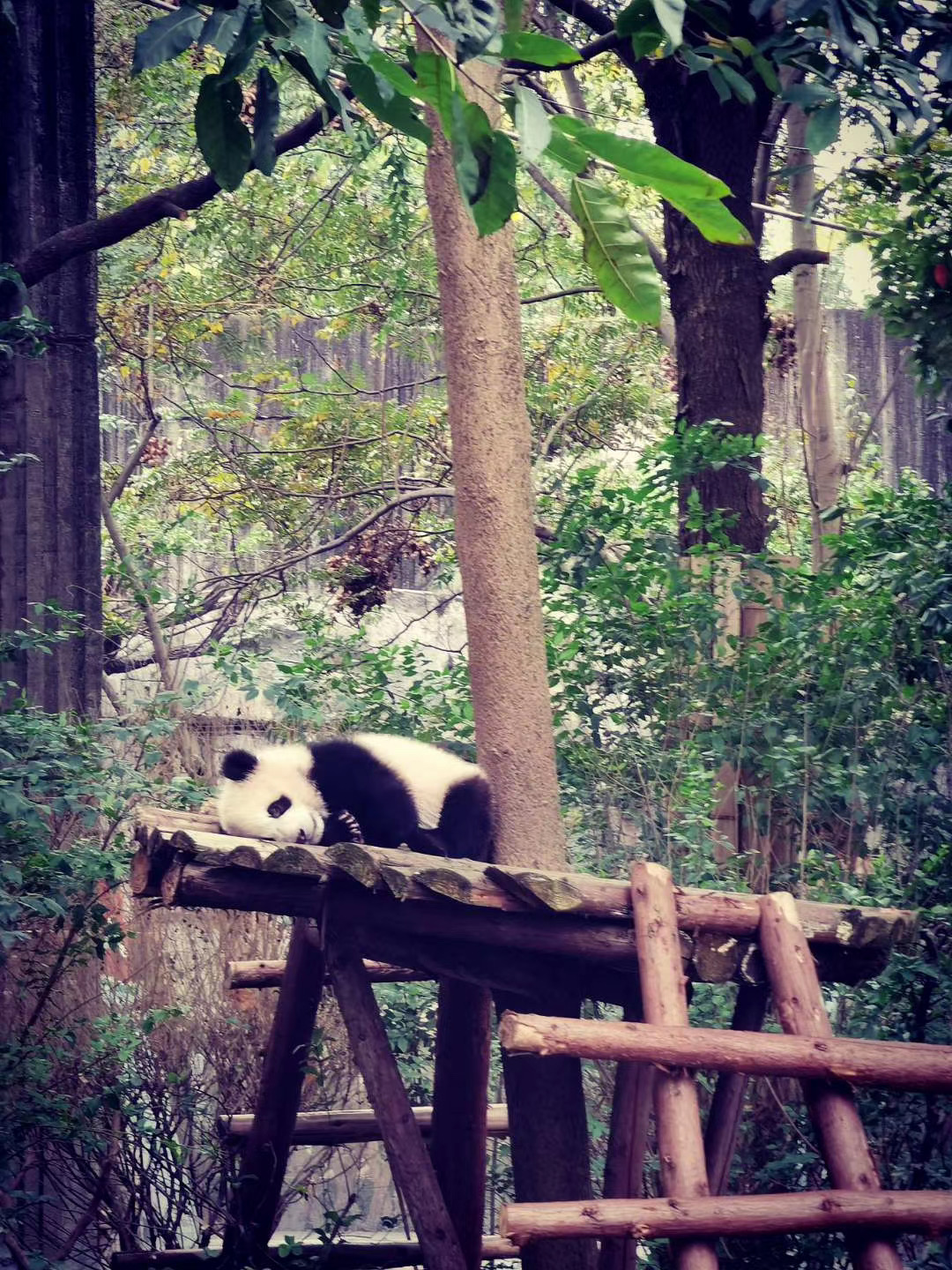 圖片1.png 圖片1.png