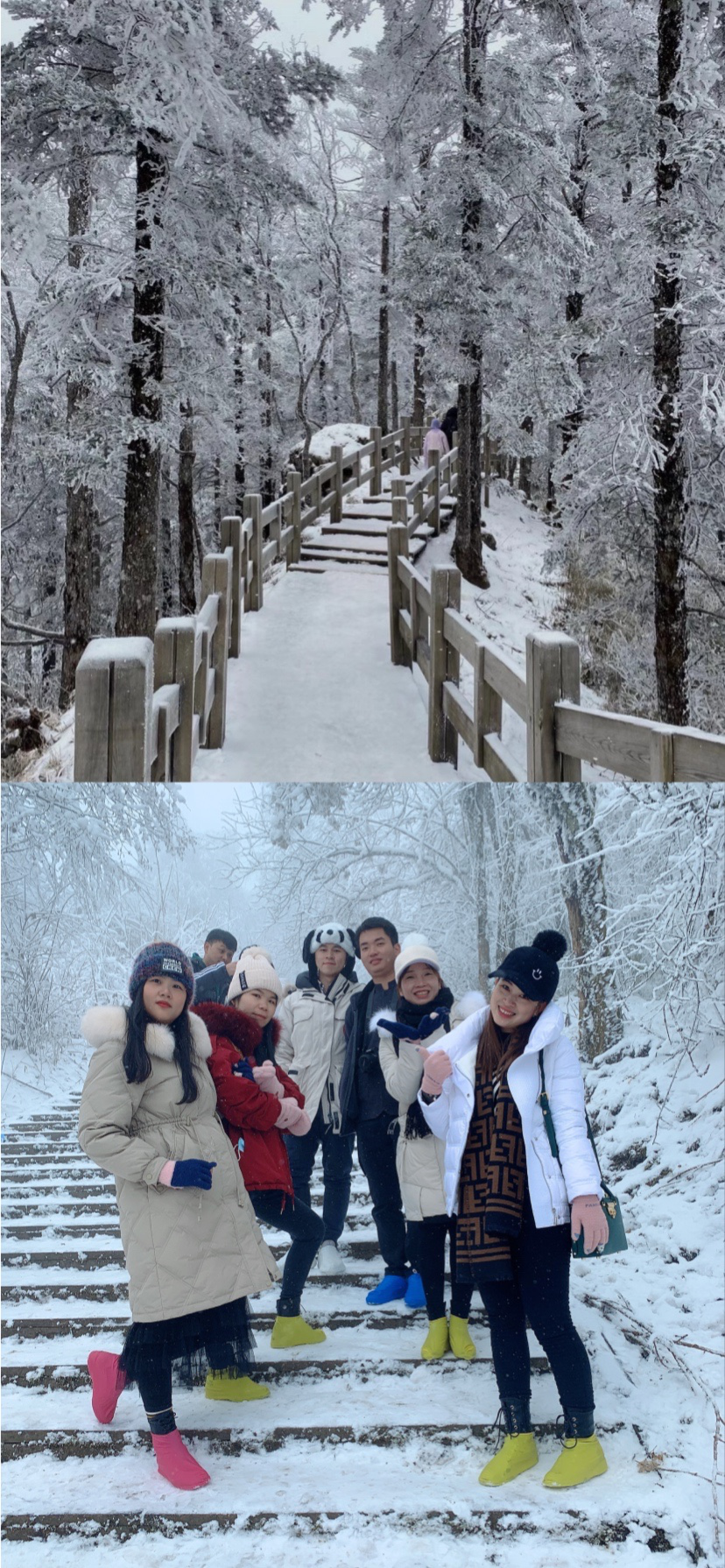 圖片13.png 圖片13.png